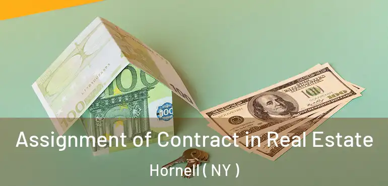  Assignment of Contract in Real Estate Hornell ( NY )