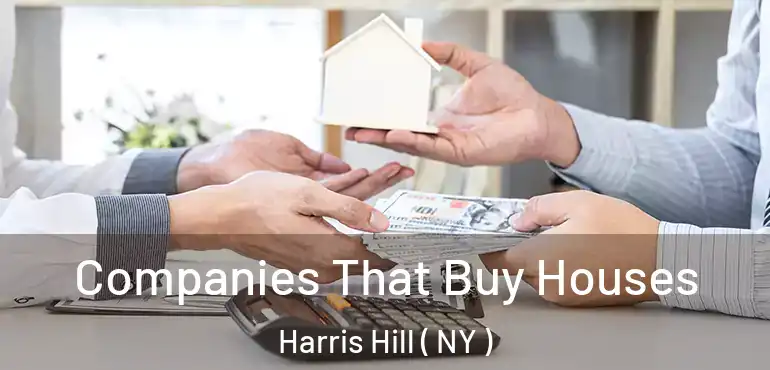  Companies That Buy Houses Harris Hill ( NY )
