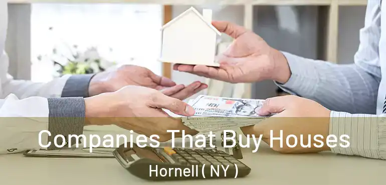  Companies That Buy Houses Hornell ( NY )