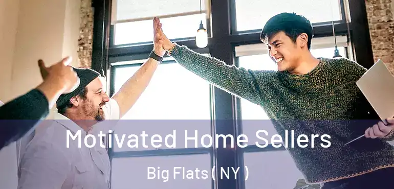  Motivated Home Sellers Big Flats ( NY )