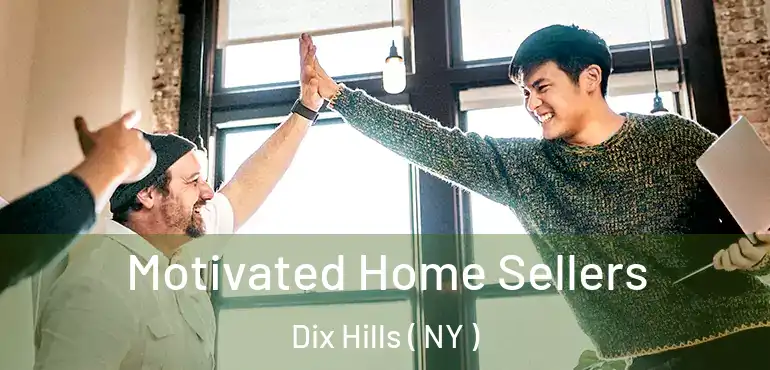  Motivated Home Sellers Dix Hills ( NY )