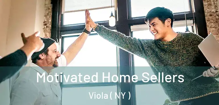  Motivated Home Sellers Viola ( NY )