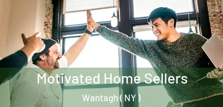 Motivated Home Sellers Wantagh ( NY )