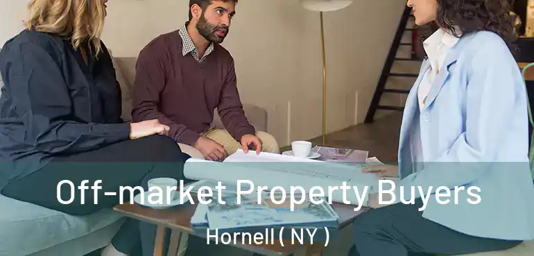  Off-market Property Buyers Hornell ( NY )