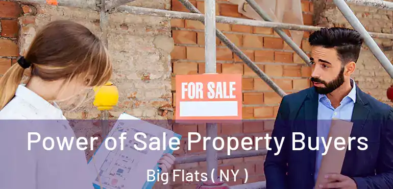  Power of Sale Property Buyers Big Flats ( NY )