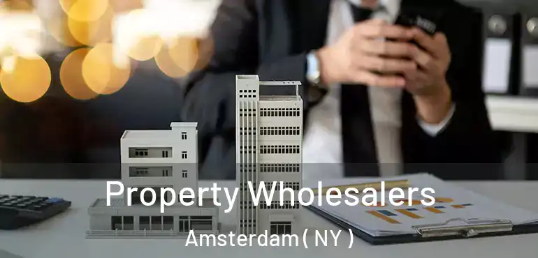  Property Wholesalers Amsterdam ( NY )