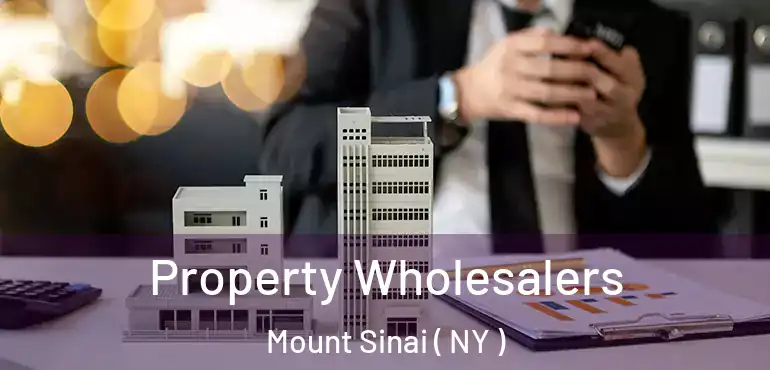  Property Wholesalers Mount Sinai ( NY )