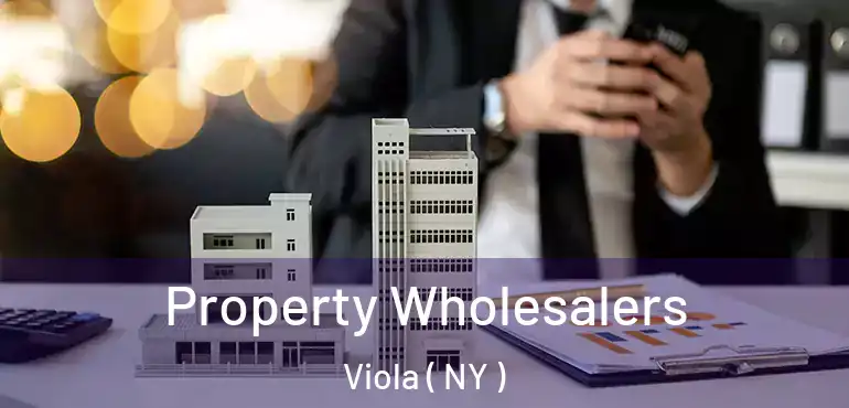  Property Wholesalers Viola ( NY )