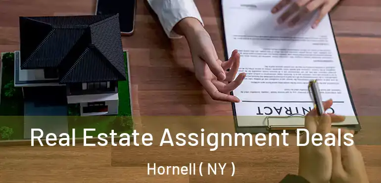  Real Estate Assignment Deals Hornell ( NY )