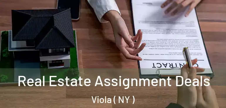  Real Estate Assignment Deals Viola ( NY )