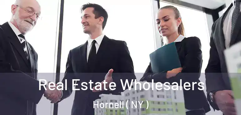  Real Estate Wholesalers Hornell ( NY )
