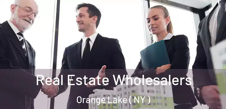  Real Estate Wholesalers Orange Lake ( NY )