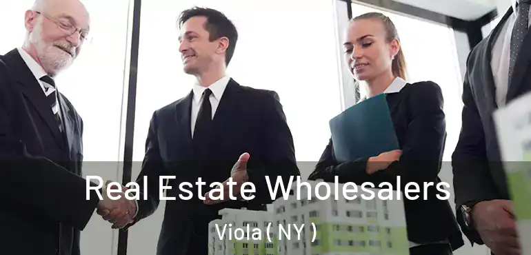  Real Estate Wholesalers Viola ( NY )