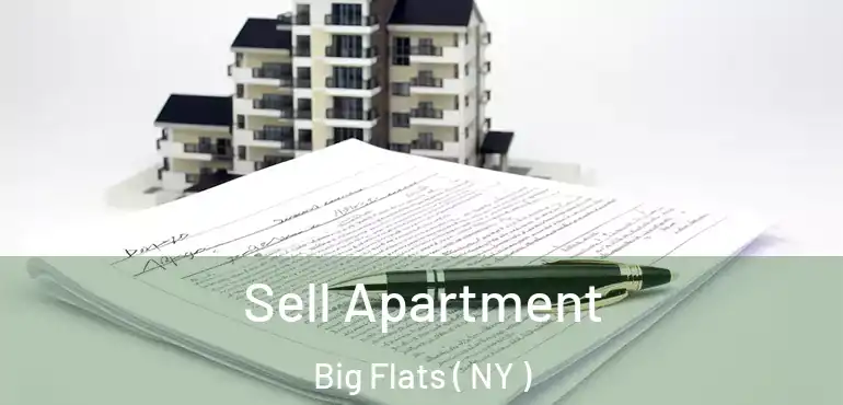  Sell Apartment Big Flats ( NY )