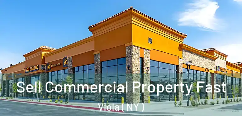  Sell Commercial Property Fast Viola ( NY )