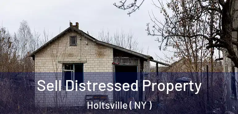  Sell Distressed Property Holtsville ( NY )
