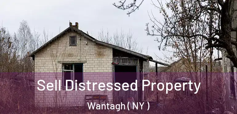  Sell Distressed Property Wantagh ( NY )