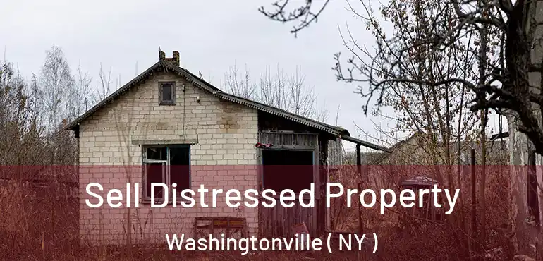  Sell Distressed Property Washingtonville ( NY )