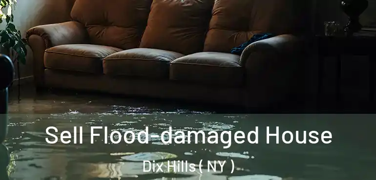  Sell Flood-damaged House Dix Hills ( NY )