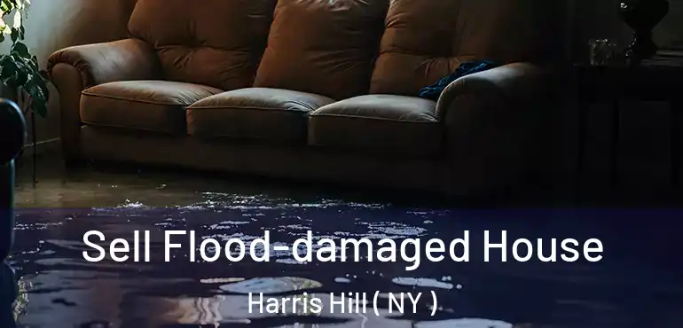  Sell Flood-damaged House Harris Hill ( NY )
