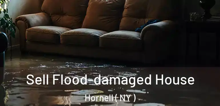  Sell Flood-damaged House Hornell ( NY )