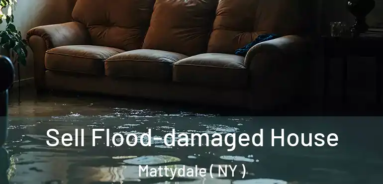  Sell Flood-damaged House Mattydale ( NY )