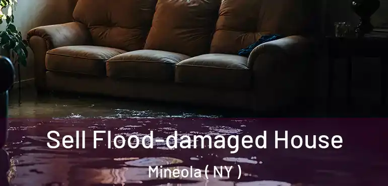  Sell Flood-damaged House Mineola ( NY )