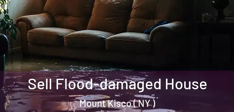  Sell Flood-damaged House Mount Kisco ( NY )