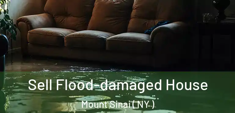  Sell Flood-damaged House Mount Sinai ( NY )
