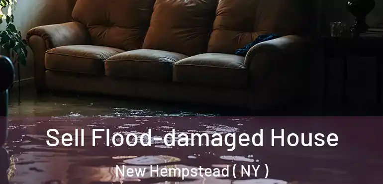  Sell Flood-damaged House New Hempstead ( NY )