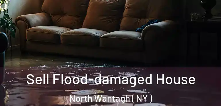  Sell Flood-damaged House North Wantagh ( NY )