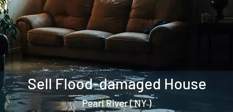  Sell Flood-damaged House Pearl River ( NY )