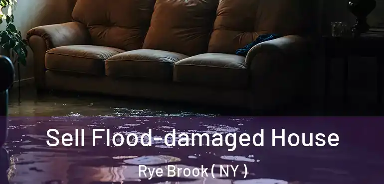  Sell Flood-damaged House Rye Brook ( NY )