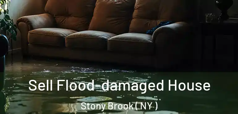  Sell Flood-damaged House Stony Brook ( NY )