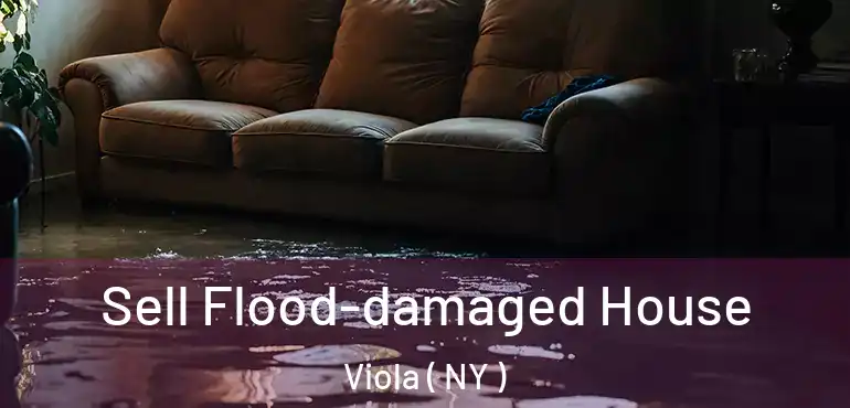  Sell Flood-damaged House Viola ( NY )