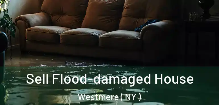  Sell Flood-damaged House Westmere ( NY )