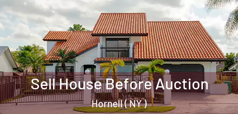  Sell House Before Auction Hornell ( NY )