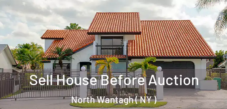  Sell House Before Auction North Wantagh ( NY )