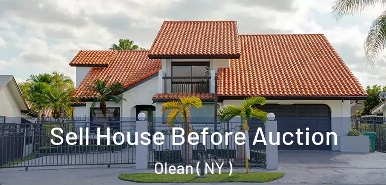  Sell House Before Auction Olean ( NY )