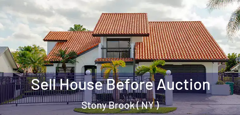  Sell House Before Auction Stony Brook ( NY )