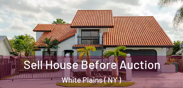  Sell House Before Auction White Plains ( NY )