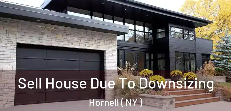  Sell House Due To Downsizing Hornell ( NY )