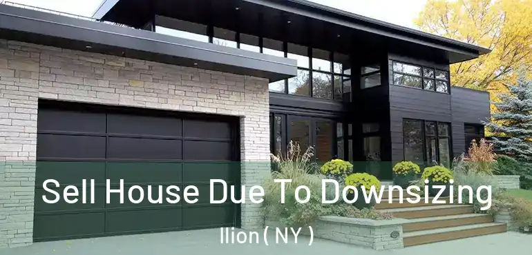  Sell House Due To Downsizing Ilion ( NY )