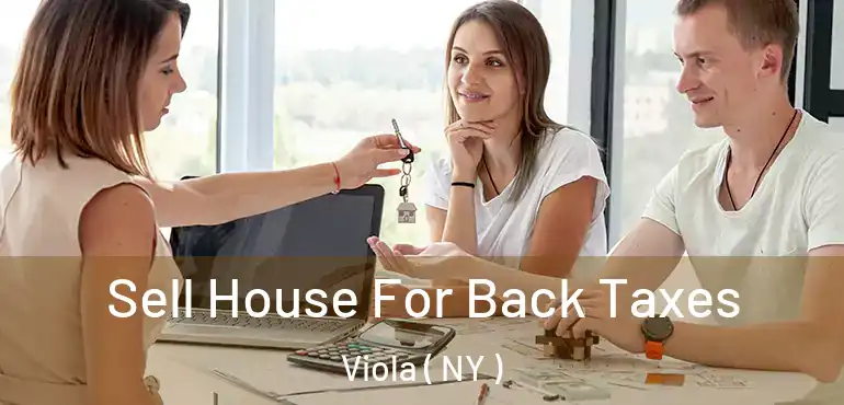  Sell House For Back Taxes Viola ( NY )