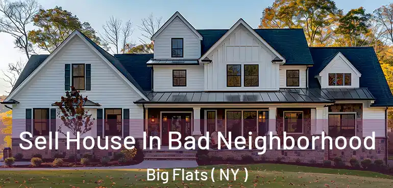  Sell House In Bad Neighborhood Big Flats ( NY )