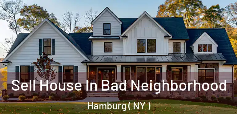  Sell House In Bad Neighborhood Hamburg ( NY )