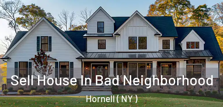  Sell House In Bad Neighborhood Hornell ( NY )