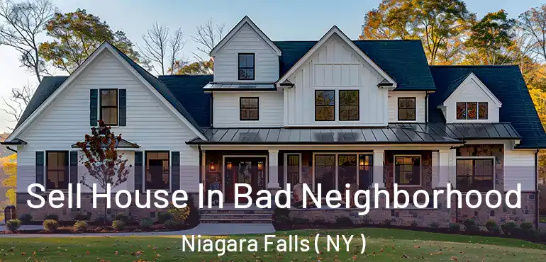  Sell House In Bad Neighborhood Niagara Falls ( NY )