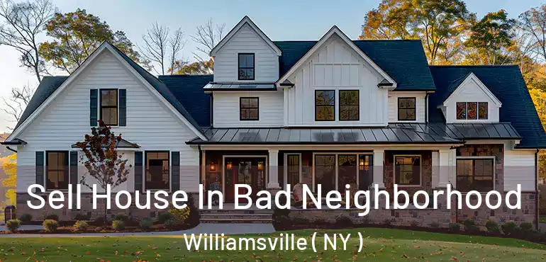  Sell House In Bad Neighborhood Williamsville ( NY )