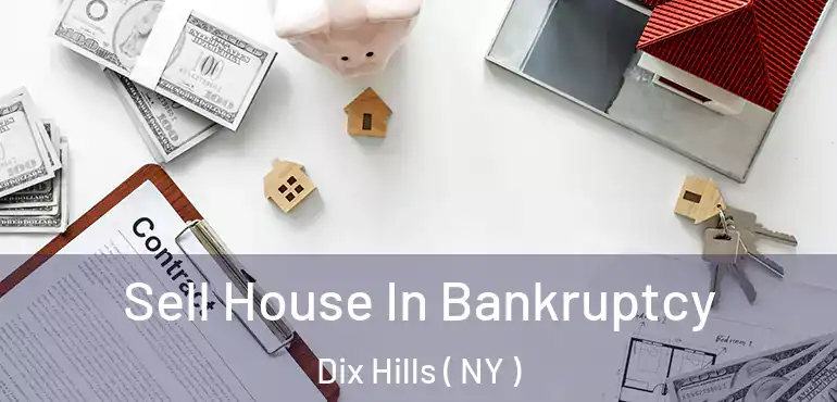  Sell House In Bankruptcy Dix Hills ( NY )